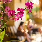 Maui Coast Hotel 